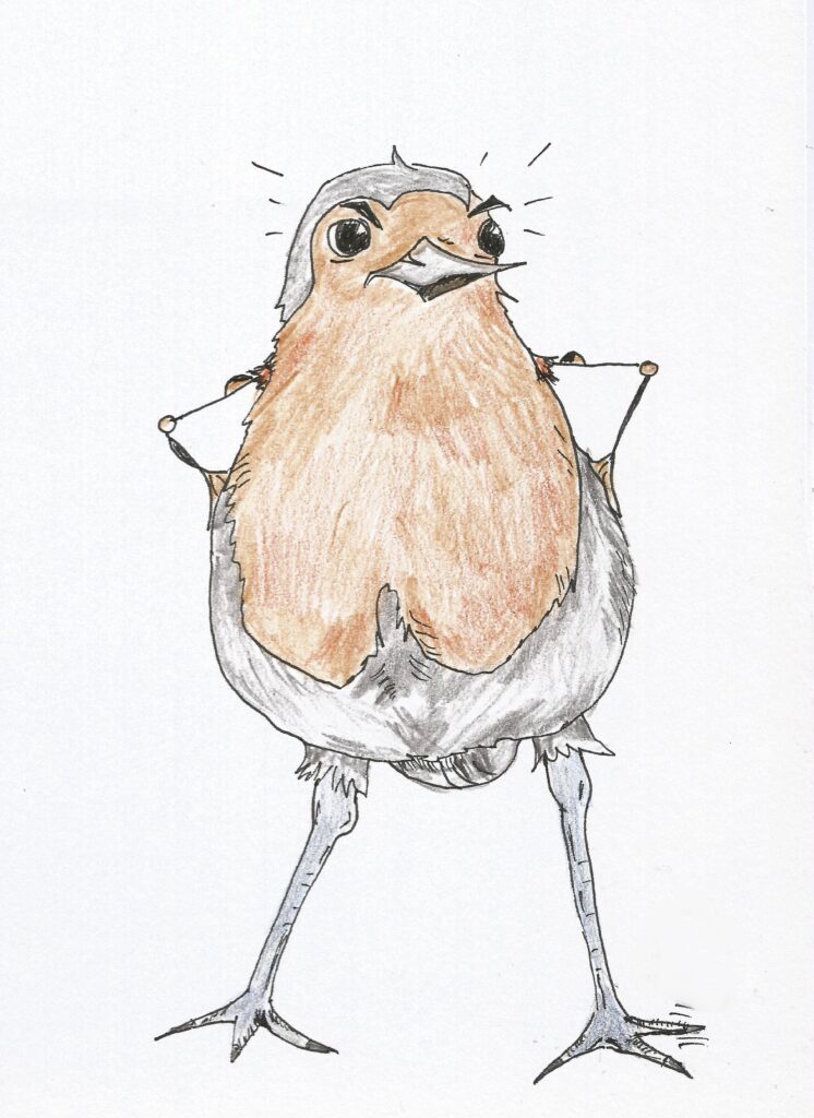 comic style drawing of a european robin with its hands instead of real wings on its hips and tiny muscles, standoffish and tapping one foot. the robin is clearly angry.