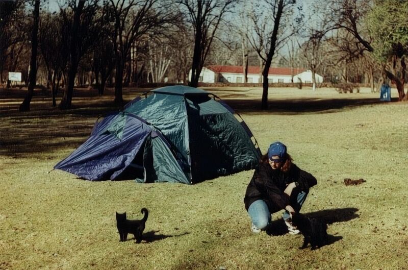 File:Felis catus 33.jpg