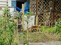 garden 01