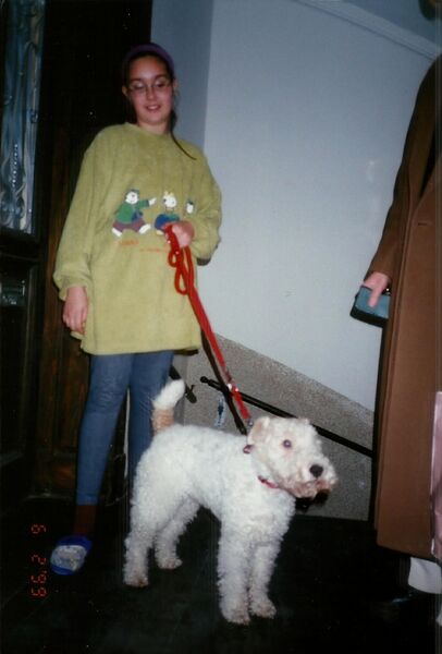 File:Canis familiaris 24.jpg