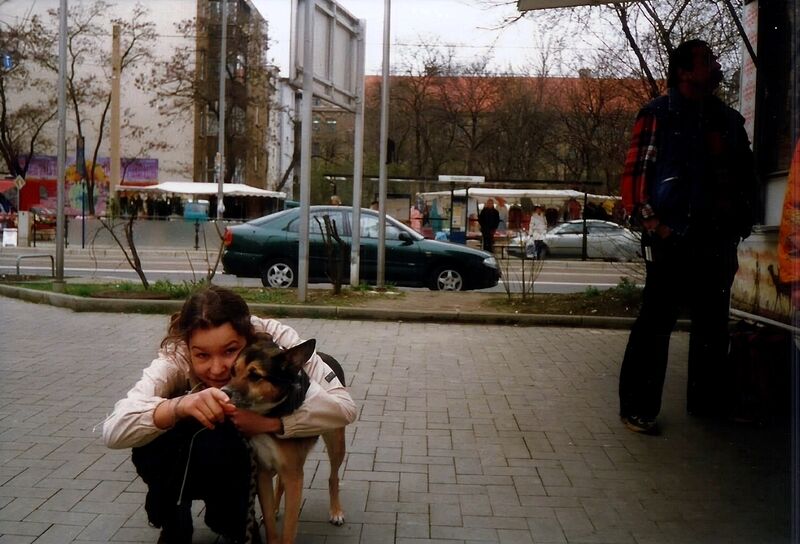 File:Canis familiaris 16.jpg