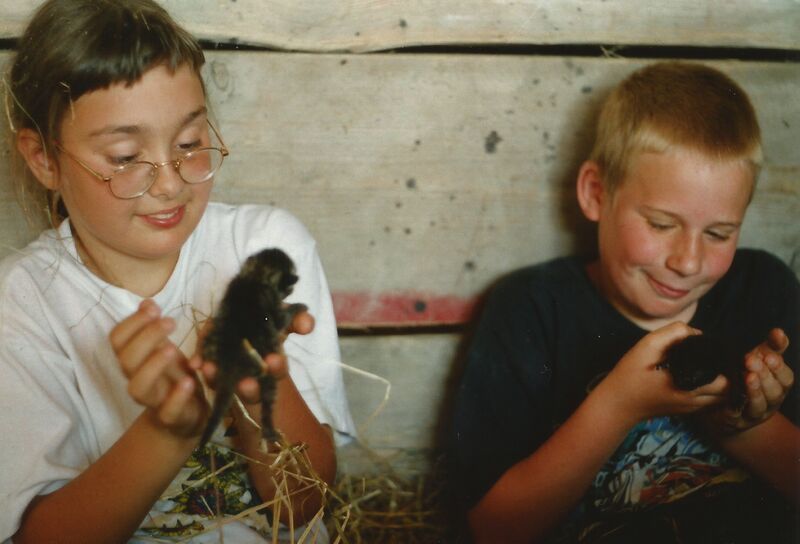 File:Felis catus 30.jpg