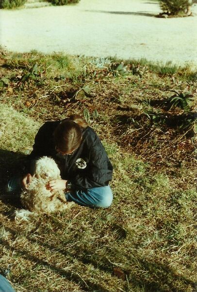 File:Canis familiaris 21.jpg