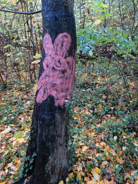 File:Animals in art 11.jpg