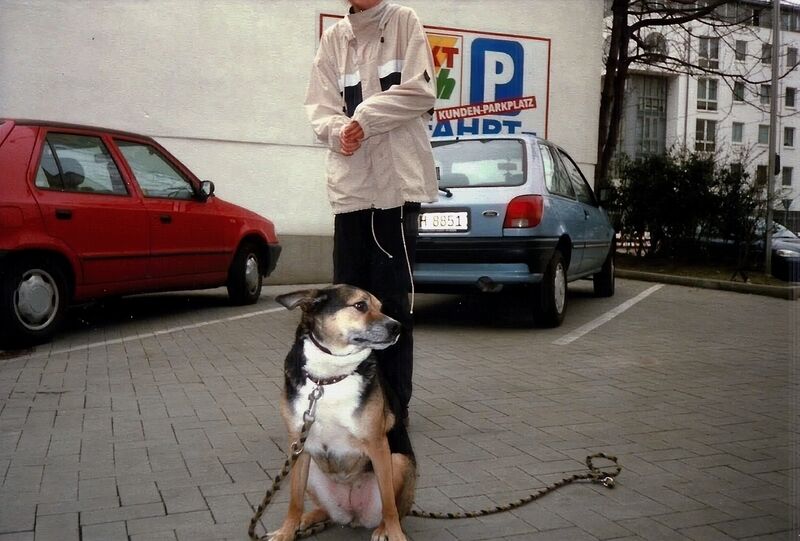 File:Canis familiaris 17.jpg