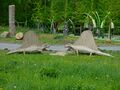 dimetrodon 01